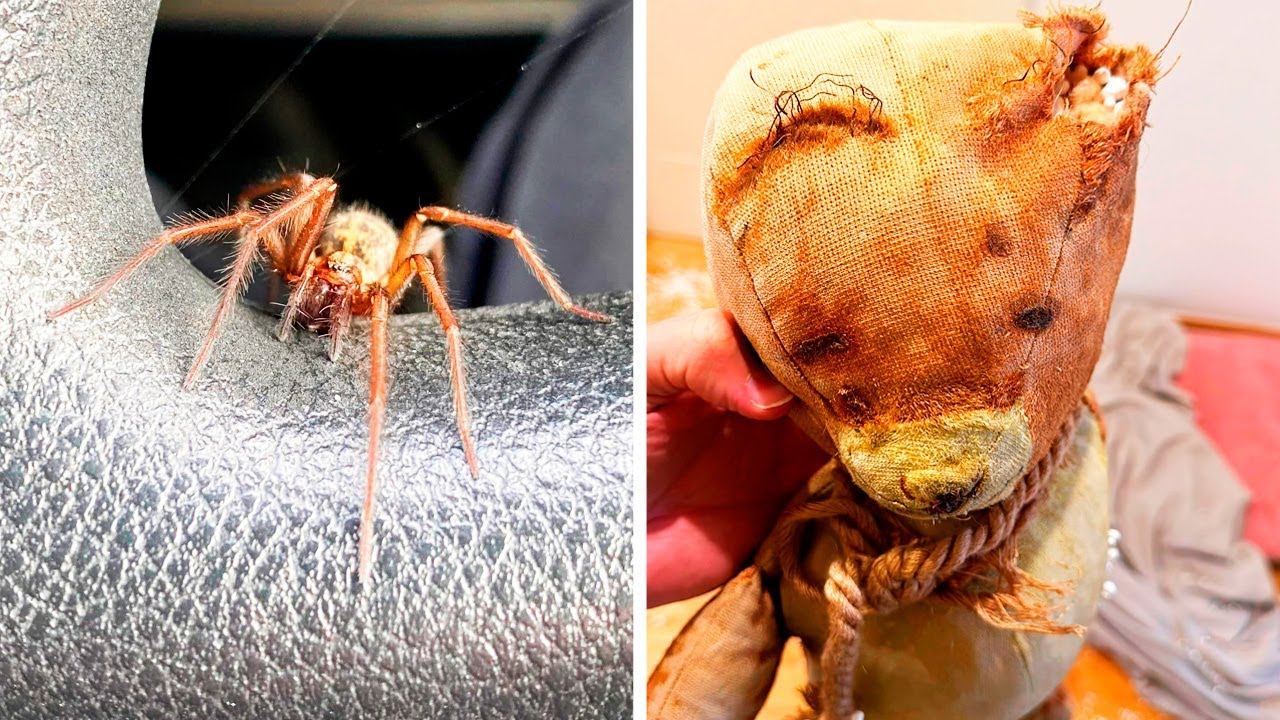 Фото, которые тебя удивят (часть 181) смотреть онлайн