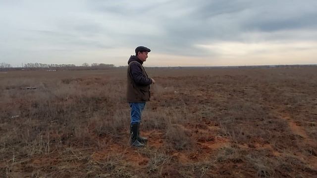 День 1 Подготовка собаки к испытаниям ВИМ VJP