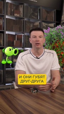 ЧАСТАЯ ошибка при благоустройстве участка! #дом #загородныйдом #участок