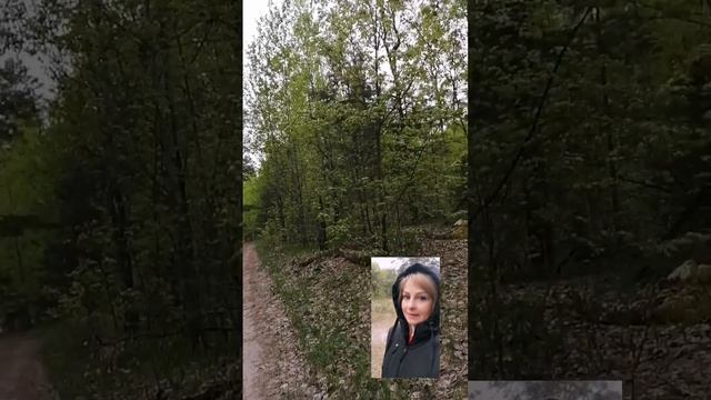 Приглашаю вас на безоплатную онлайн диагностику 🫶