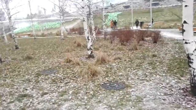 Зарядье  Снежок. 30.12.2019 г.