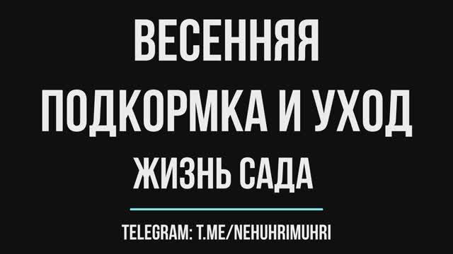 Весенняя подкормка и уход жизнь сада