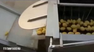 Мойка картофеля с очисткой и сушкой TitanFood