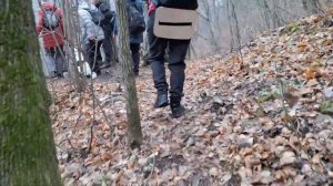 Урочище КАМЕННАЯ ЧАША | Солнечная Поляна ~ Жигулёвск