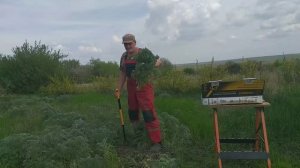 Сборка и тест корнеудолителя от Гардарики.