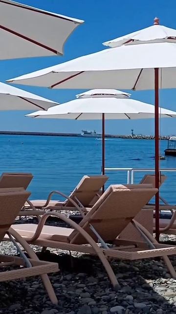 Сочи-Грузия смотреть онлайн