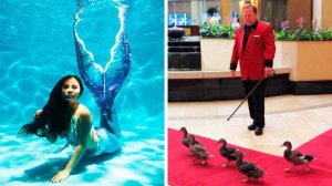 На такую работу согласится не каждый (#36)