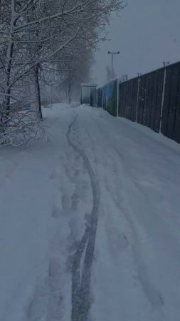 2025-04-26 Вологда