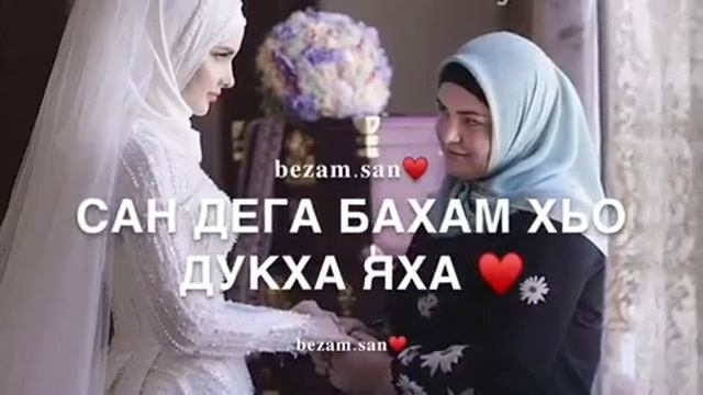 Чеченская свадьба Замира. смотреть онлайн