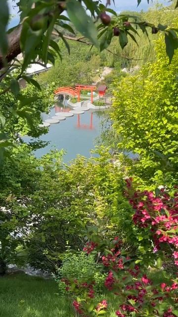 Японский сад MRIYA RESORT & SPA #япония #японскийсад #спокойствие #гармония смотреть онлайн