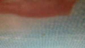 Желтые перчатки,красные сапожки(Побежала осень по лесной дорожке.Заглянула осень под листы(наброски