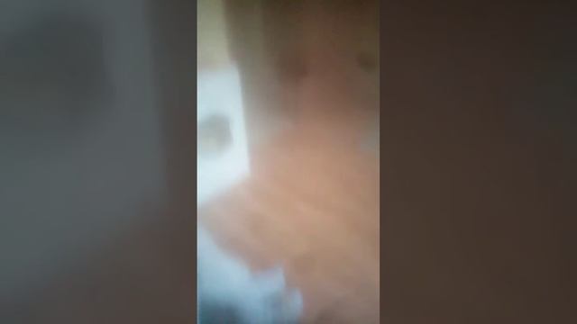 у нас новое на канале. её зовут вера. смотреть онлайн