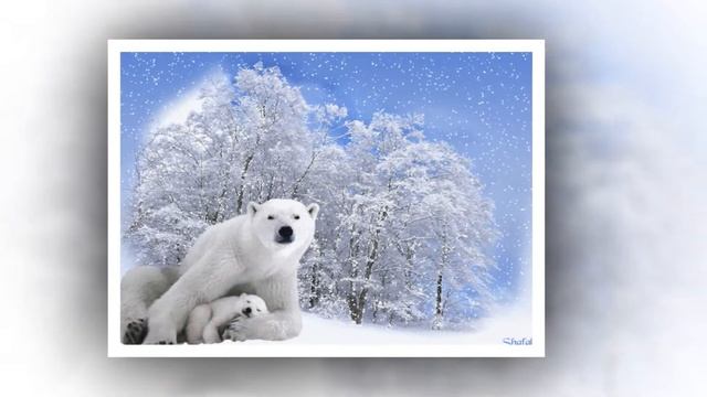 Новый 2013 год всех поздравляю!