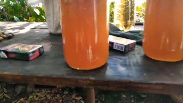 Сезон охоты на 🍯 мед смотреть онлайн