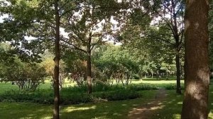 Таврический сад: место для неспешных прогулок