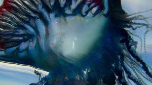 4.Blue.Planet.2017.Big.Blue.BDRip.720p.HDReactor