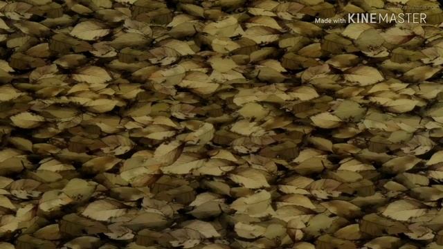 Класс убийц/Озвучка Нагисы Шиота/Момент/by NS смотреть онлайн