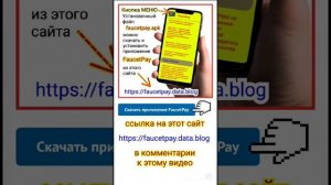 Загрузить скачать установить приложение FaycetPay файл apk apk-файл смартфон андроид 