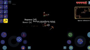 Террария 05162020