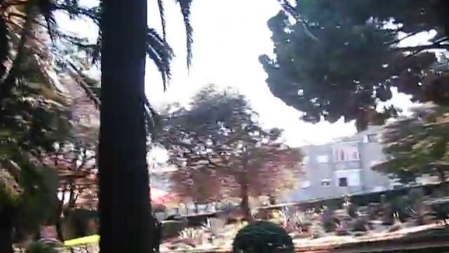 ИЗРАИЛЬ.Хайфа.Бахайские сады смотреть онлайн