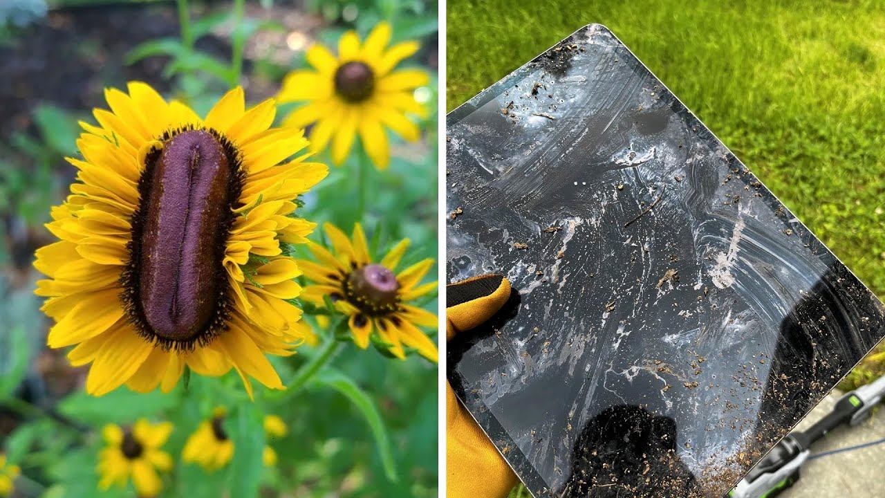 Фото, которые тебя удивят (часть 183) смотреть онлайн