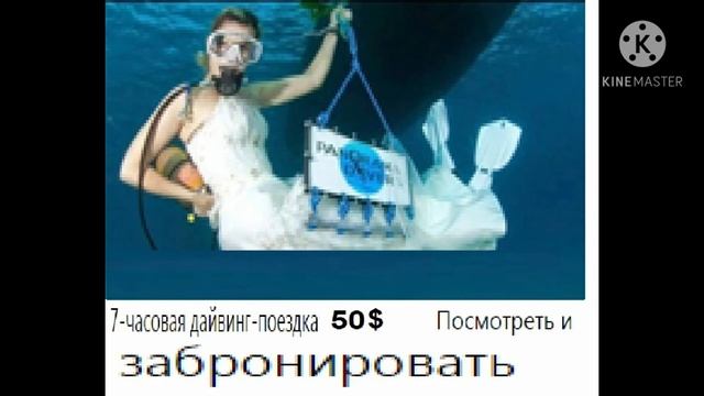 #Скидки_2021_года_по_случаю_хартии_России Whatapp +201030063565