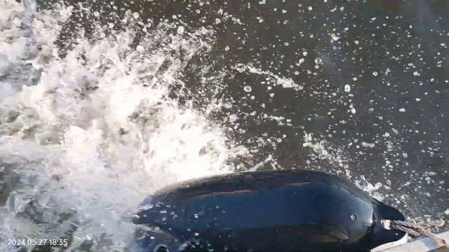 ПОПЛАВАЛИ НА КОРАБЛИКЕ ПО РЕКЕ ПРЕГОЛЯ! смотреть онлайн