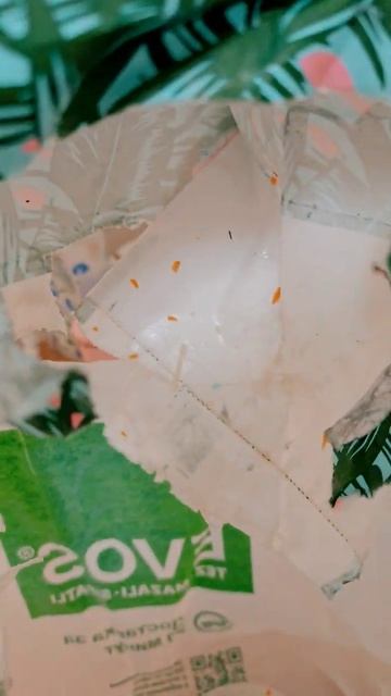 Яндекс еда. ресторан socials доставка Ташкент. отзывы. смотреть онлайн