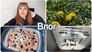 Вкусная запеканка. Замечательная погода. Отвечаю на комментарии.