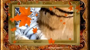 О С Е Н Н Е Е  _  Н А С Т Р О Е Н И Е