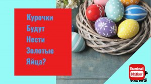 Всё в кучу. Курочки будут нести золотые яйца?