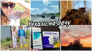 Уехали на дачуПодарок для Амелии☺ Наша любимая Джесси