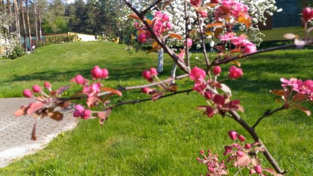 санаторий Радуга смотреть онлайн