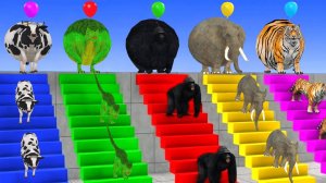 ЖИВОТНЫЕ ИЩУТ СВОИХ ДЕТИШЕК И ПРОХОЯТ КВЕСТ