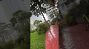 Мама Галя в Америке в прямом эфире!