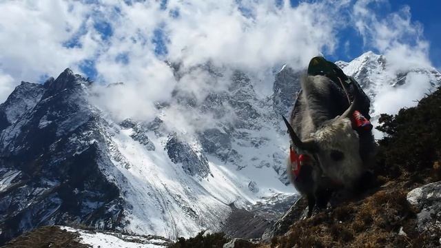 Як гуляет в Гималаях смотреть онлайн
