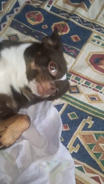 Сладкое доброе утро