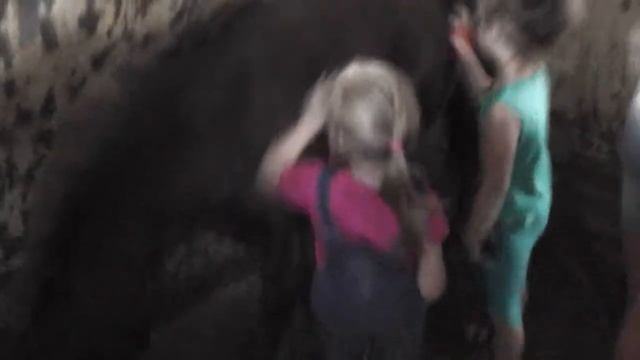 Лошади 6 смотреть онлайн