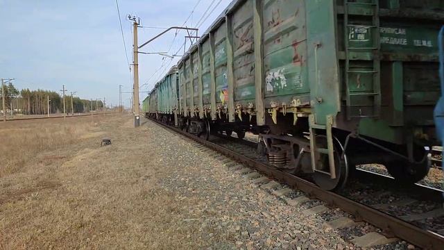 (ОЧЕНЬ ГРОМКИЕ ВАГОНЫ!!!) чмэ3-4378 с коротким грузовым поездом смотреть онлайн