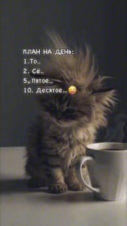 А какие у тебя были сегодня планы на день?