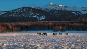 Риддер ноябрь 2023 (Аркадий Уалханов)