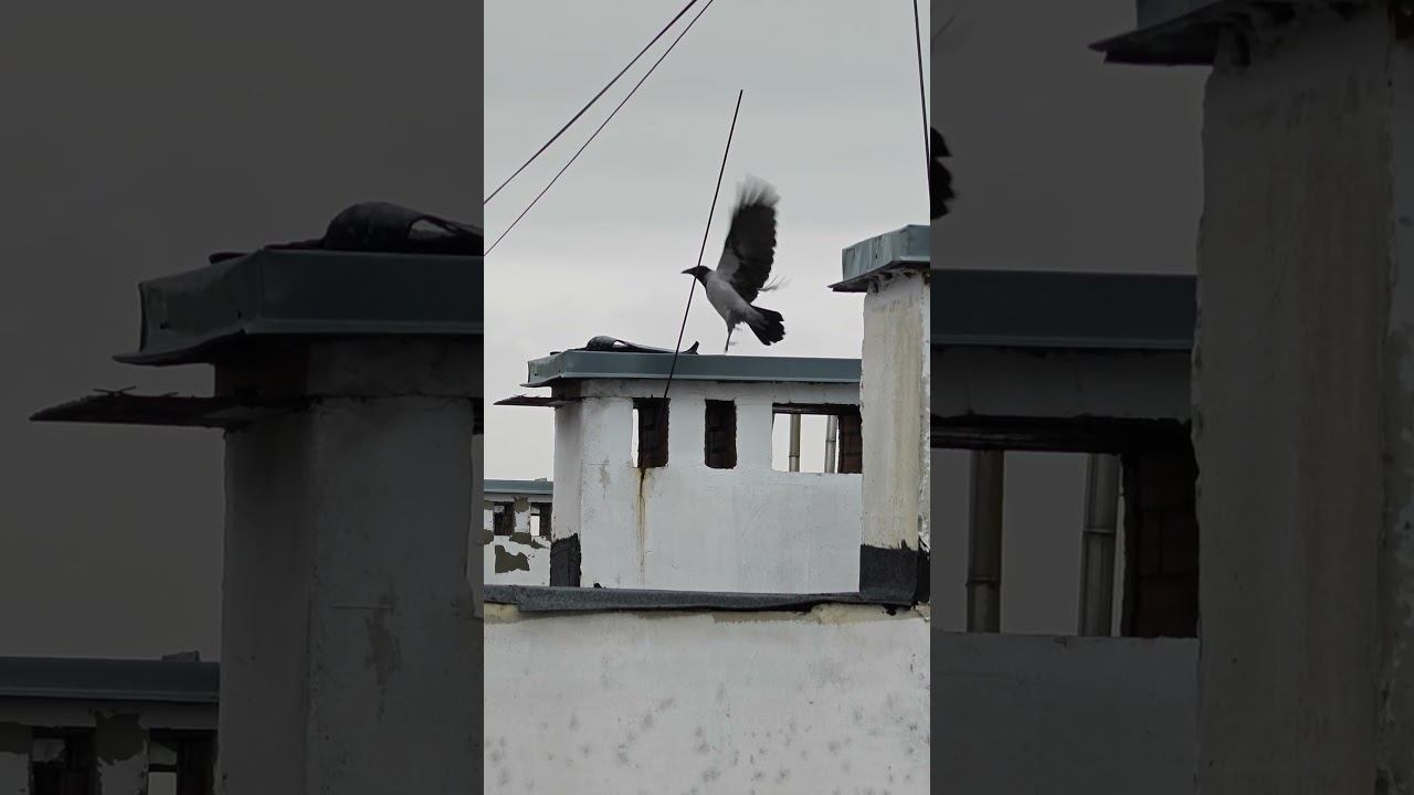 30 ноября 2024 г. смотреть онлайн