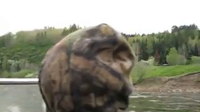 р.Тайдон. смотреть онлайн