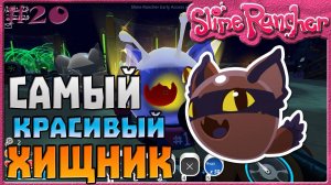 САМЫЙ КРАСИВЫЙ ХИЩНЫЙ СЛАЙМ | Slime Rancher [20]