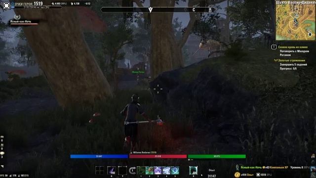The ESO Morowind part № 33
