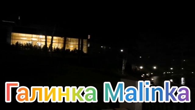 Сканеры /Вернулись /Пополнение в семье /Обзор /Жизнь в Америке /США Vlog / смотреть онлайн