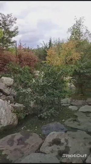 КРАСНОДАР. ЯПОНСКИЙ САД