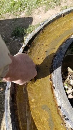 Поилка для пчёл 🐝.