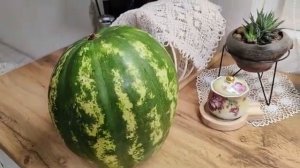 Делаем грядки по методу Хольцера.