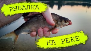 РЫБАЛКА на реке 8 августа 2024 - перезалив с дзена